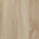 Mango Wood
