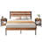 Alicia Steel Piece Bedroom Set-2032754350-2032669734