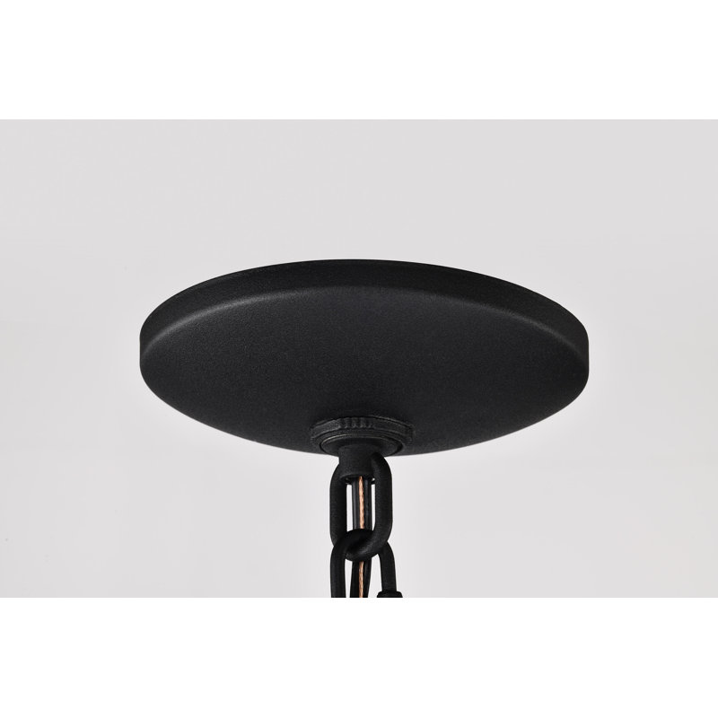 Lanterne suspendue d'extérieur noir mat 1 lumière H 14,5 po