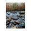 « porters creek ii », reproduction de photo sur toile tendue-33425744