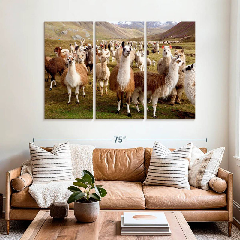 Brampt Peruvian Alpacas And Llamas, 42" H x 65" W