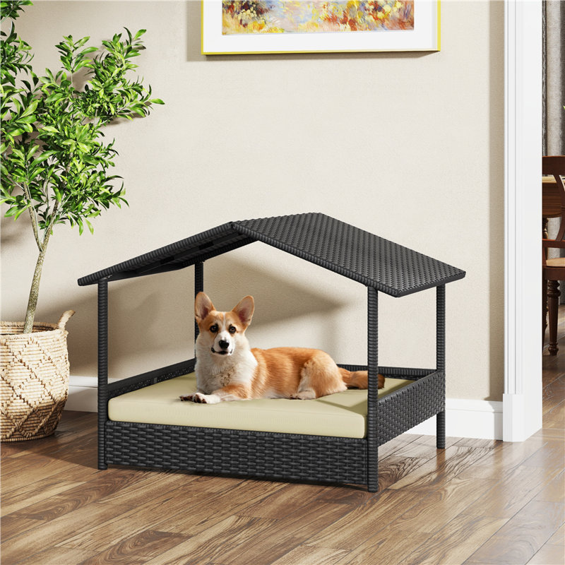 Rattan Dog House