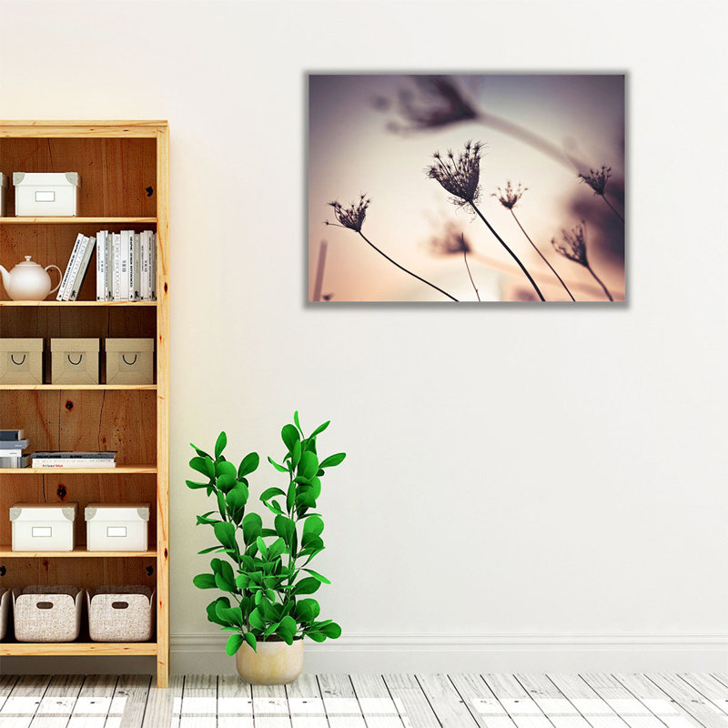 Silhouette of A Bishop Weed - reproduction d'art sur toile, H 45 po x l 60 po