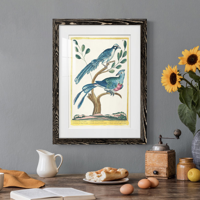 Pastel Birds VI Premium encadré mat - prêt à être accroché, Cadre noir, H 24 po x l 20 po x P 1 po