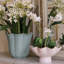 Encanto Serving Bowl-300576866