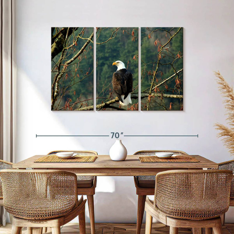Brampt Perched Canadian Bald Eagle, 36" H x 57" W