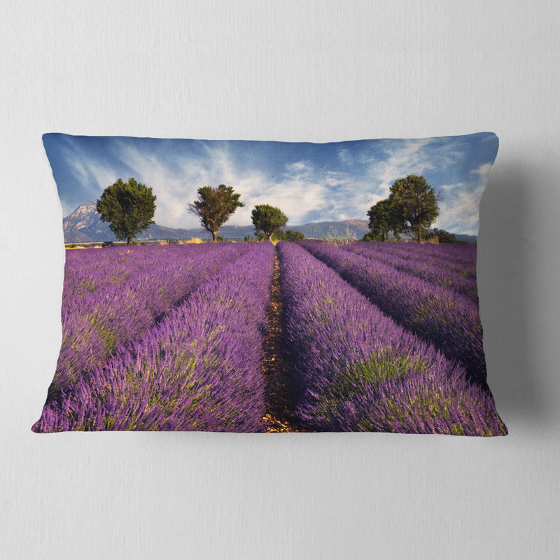 Coussin floral à fleurs sur un coussin lombaire d’après vent