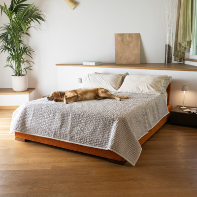 Waterproof Anti-slip Bed Blanket - Absorbent Incontinence Pad - Stain-Proof Machine Washable & Everyday Versatile