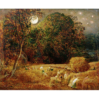 Landscape & Nature Non-Wall Damaging Wall Decal
