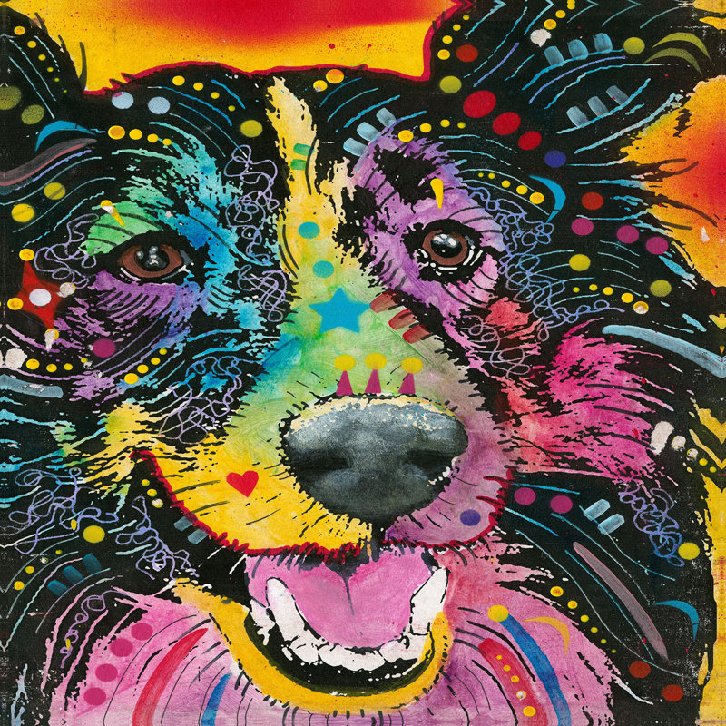 Ensembles de housse de couette DiaNoche en microfibre par Dean Russo - Chien souriant colley