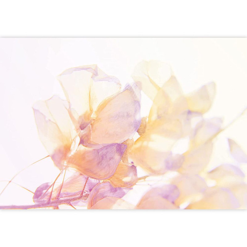Peel & Stick Floral Border, 100" L x 144" W