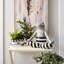 Spectator Galvanized Herb Pots, Set Of 3
