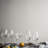 Premium 12.5oz. Flute Set