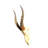 Real Blesbok Antelope Skull