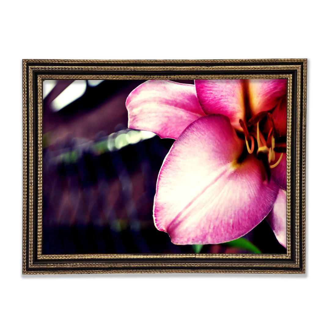 Close_Up Of A Pink Petal Gerahmter Druck