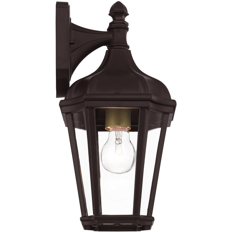 7 inch 1 Light TBK Outdoor Wall Lantern with Clear Glass Shade, Bronze/Satin Brass