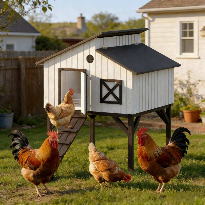 Maison pour animaux de compagnie, poulailler, poulailler surélevé, poulailler