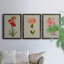 «Botanical Array VII», ensemble de 3 reproductions d'art sur toile-593053773-593053763