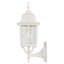 Lanterne murale d'extérieur à 1 ampoule H 17 po Enloe-18825982