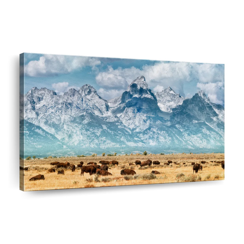 «Bison Herd In Grand Teton», reproduction sur toile, H 34 po x l 51 po x P 1,25 po