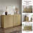 Cesiro 34.6''Wide Buffet Sideboard With Adjustable Shelves-1680881418-1702843106