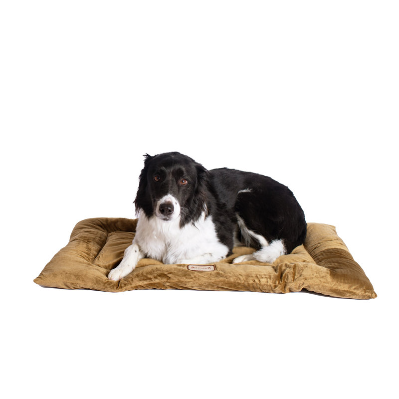 Tapis pour chien en velours doux, Grand (l 35 po x P 22 po x H 2 po), Sauge vert