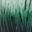 Vase en verre Fresh Modern