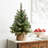 Flocked Fir Tree with LED Lights-1334224385