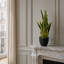 Leaf Artificial Sansevieria Tropical Snake Plant 70cm Faux Sansevieria Tree in Round Pot Liner