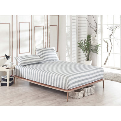 Premium Single Sheet Set, Grey, 39.4 x 78.7 inches Fitted Sheet & 19.7 x 27.6 inches Pillowcase | 65% Cotton, 35% Polyester, 120 Thread Count | Machine Washable, Envelope & Button Closures for Easy Care