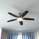 52" Newsome 5 - Blade Standard Ceiling Fan with Pull Chain and Light Kit Included