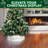 Wooden Tree Collar-103400723