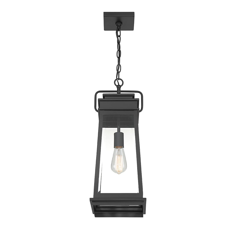 Boone 1-Light Eleana in Matte Black