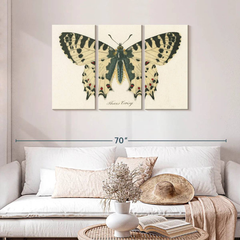 Brampt natures papillon I, H 28 po x l 45 po
