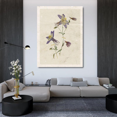 Red Barrel Studio® Robinson, Carol Gallery Wrapped Canvas Art Titled: Pressed Columbine 18936