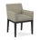 Upholstered Arm Chair