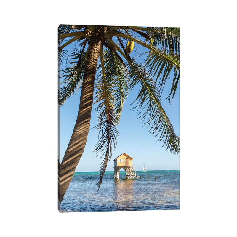 Caribbean Sea, Belize by Matteo Colombo - Wrapped Canvas Print, 66.04 cm H x 45.72 cm W x 3.175 cm D