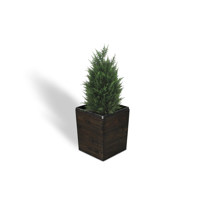 Boîte à fleurs en bois Campton, H 17 po x l 14 po x P 14 po, Enduit noir