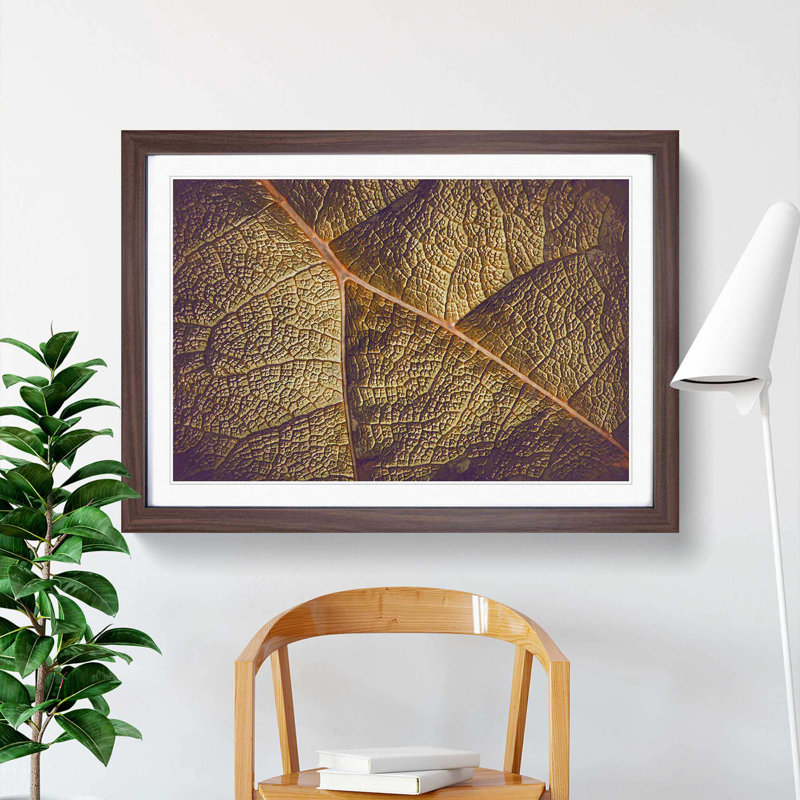 Paths of the Leaf - Picture Frame Photograph Print, 36cm H x 48cm W x 2cm D, Walnut Framed