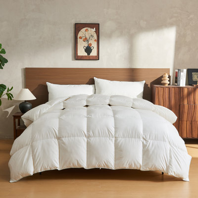 Luxury Down Feather Comforter Ultra-Soft Cotton Blend Fabric Medium Weight for All Season Fluffy Duvet Insert with Ties