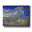  «Trail Of Restoration» par Verena Wild, art mural sur toile, 54 po x 40 po-549446294