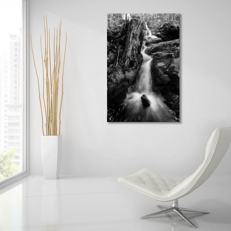 «In The Hollow BW» par Rick Berk, art mural en verre acrylique, H 36 po x l 24 po x P 0,2 po
