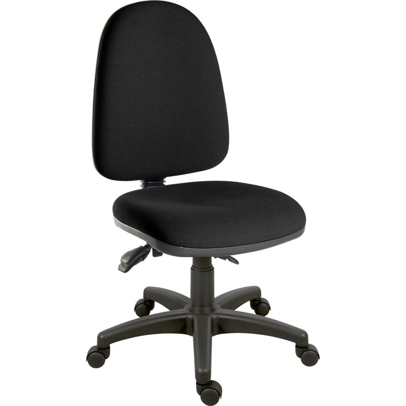 Ergo Office Chair, Without Arms, Black
