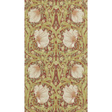 Pimpernel Wallpaper