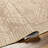 Khaki Machine Washable Area Rug-916379860