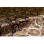 Hand Knotted Wool Oriental Area Rug