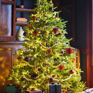 Holiday Lighting