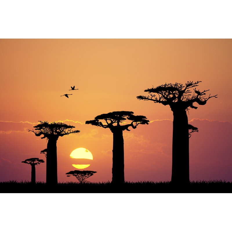 Baobab At Sunset by RossellaApostoli - Wrapped Canvas Print, 20cm H x 30cm W x 3.8cm D