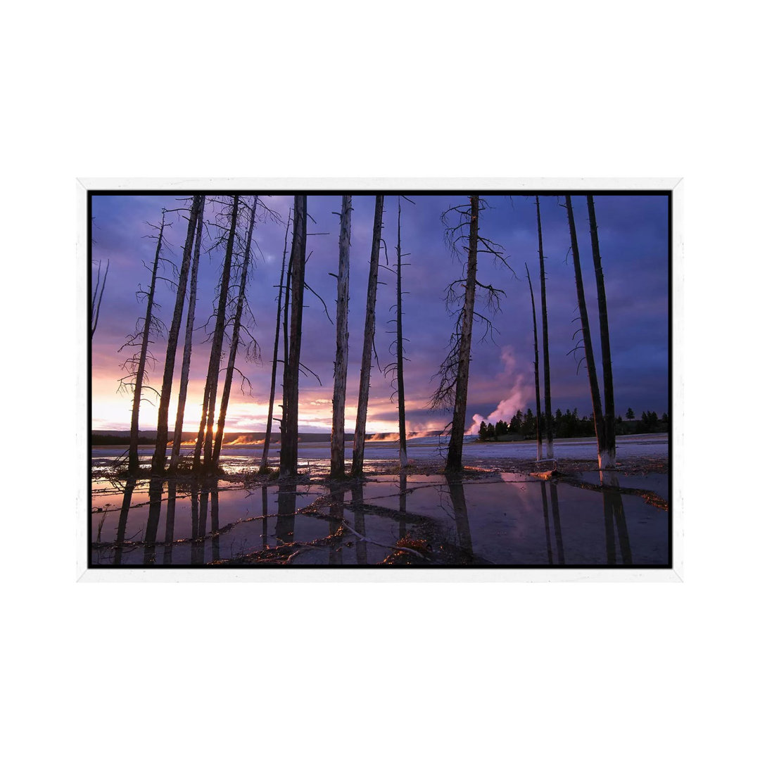 Dead Trees In Lower Geyser Basin At Sunset, Yellowstone National Park, Wyoming by Tim Fitzharris - Gallery-Wrapped Canvas Giclée on Canvas