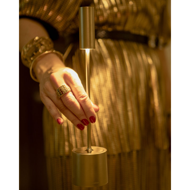 Carolina Pro, Brushed Brass / Brushed Brass